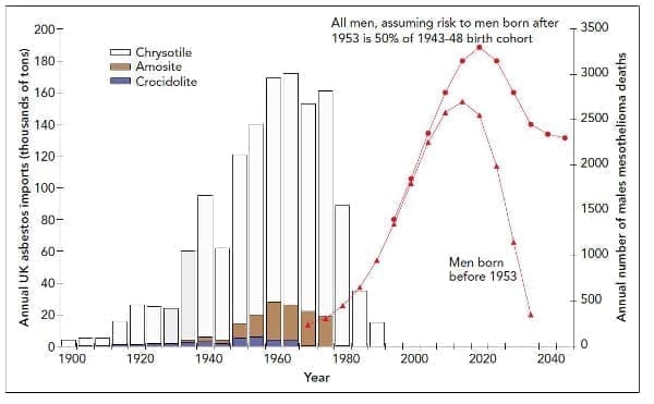 FIG. 4. U.K. Asbestos Imports and Predicted Mesothelioma Deaths. Source: Gee and Greenberg, Asbestos: from magic to malevolent mineral, in The Precautionary Principle in the 20th Century: Late Lessons from Early Warnings, Harremoes, et al. eds. 2002.