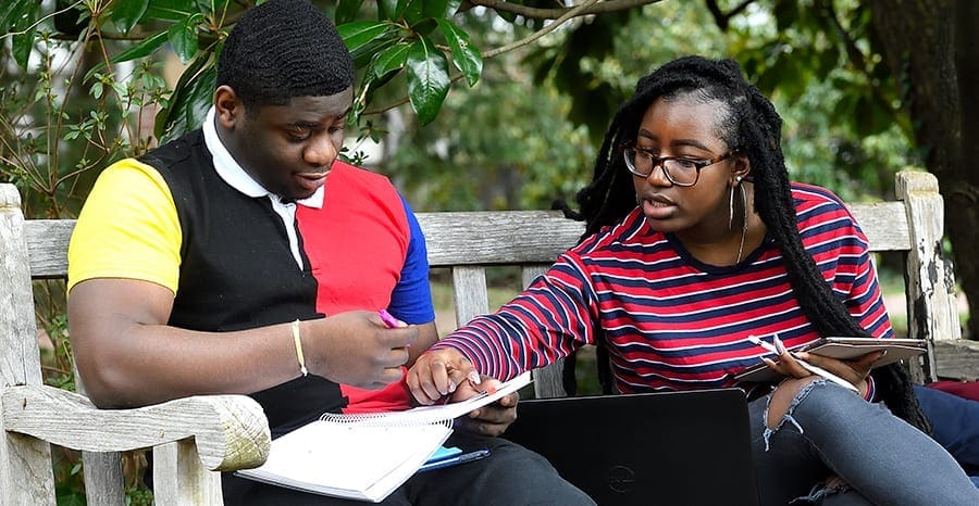 two undergrad students studying outdoors on campus