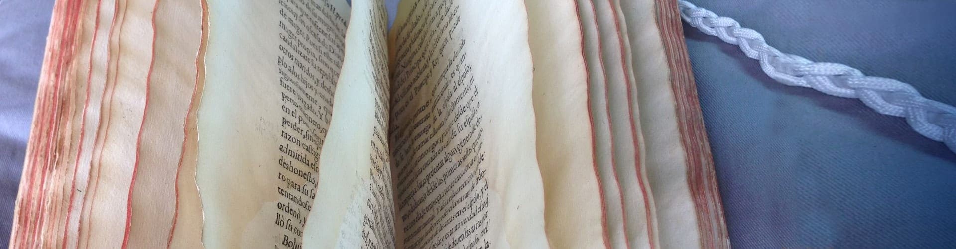 Consulting a 17th c. printed theological treatise in the fondo antiguo of the University of Seville library, Spain; June 2015