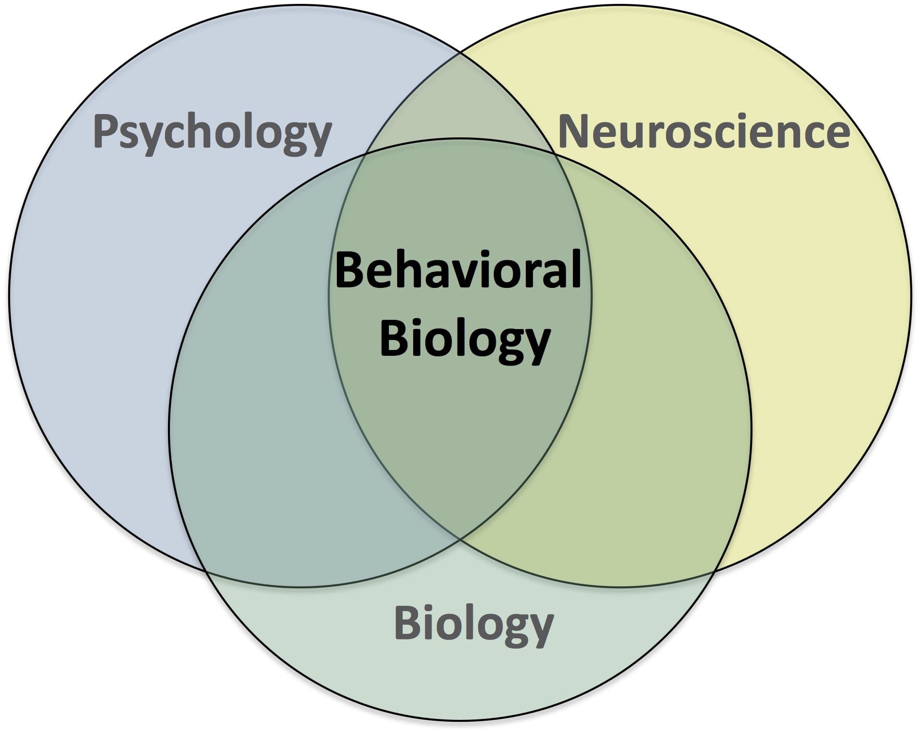 what is the relationship between biology and behavior
