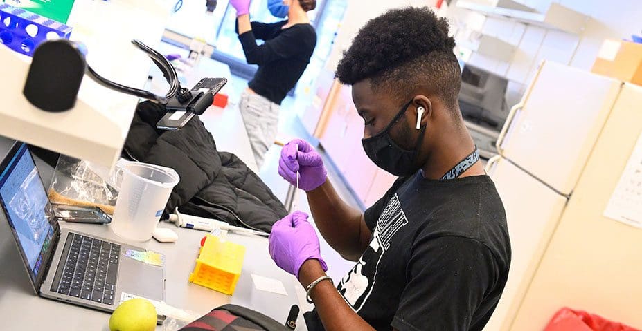 student in a lab with gloves dropping substance into a tube