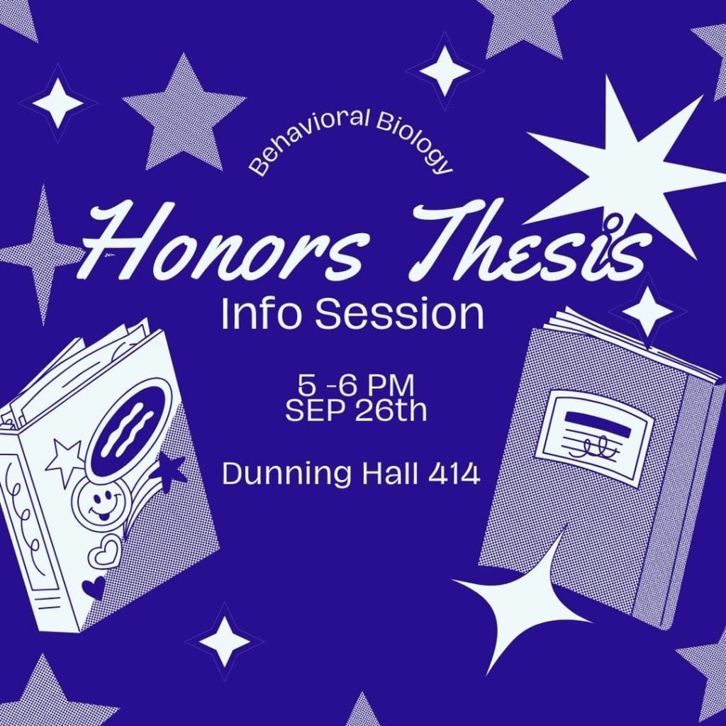 purple background with white starts sporadically placed. Large font in curvy letters says "Honors Thesis" with two notebooks covered in doodles behind it