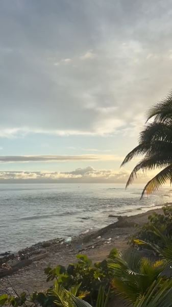 utila island, palm trees and thick greenery, overlooking blue water with cloudy and bright skies