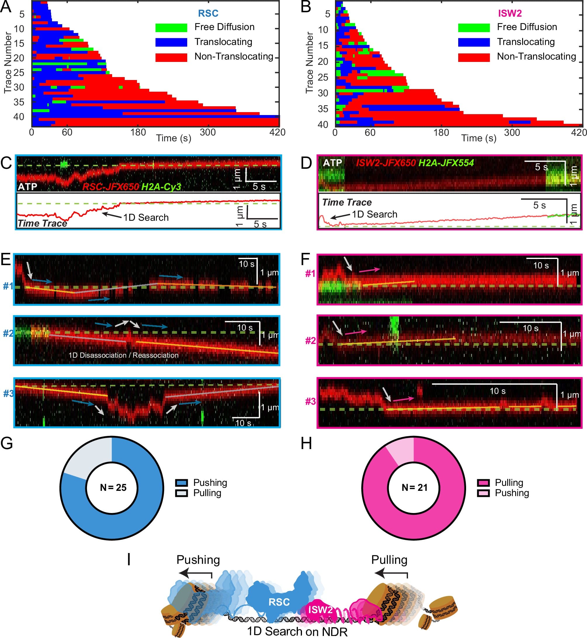 Dynamic 1D search and processive nucleosome translocations by RSC and ISW2 chromatin remodelers