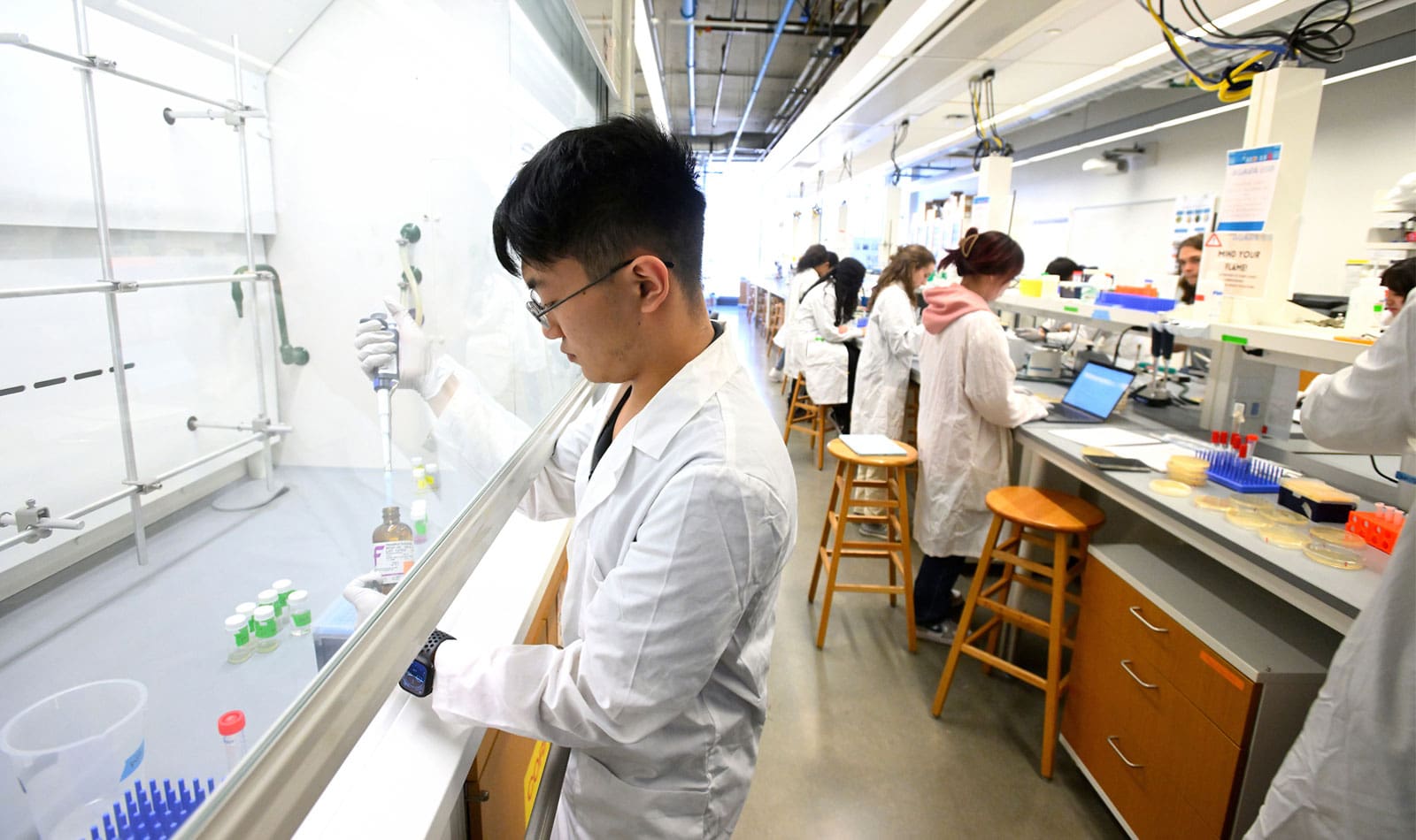 Undergraduate students pipetting in a biology lab.