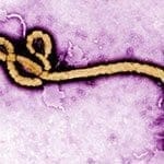 Experimental ZMapp Treatment for Ebola Virus Has Roots at Johns Hopkins
