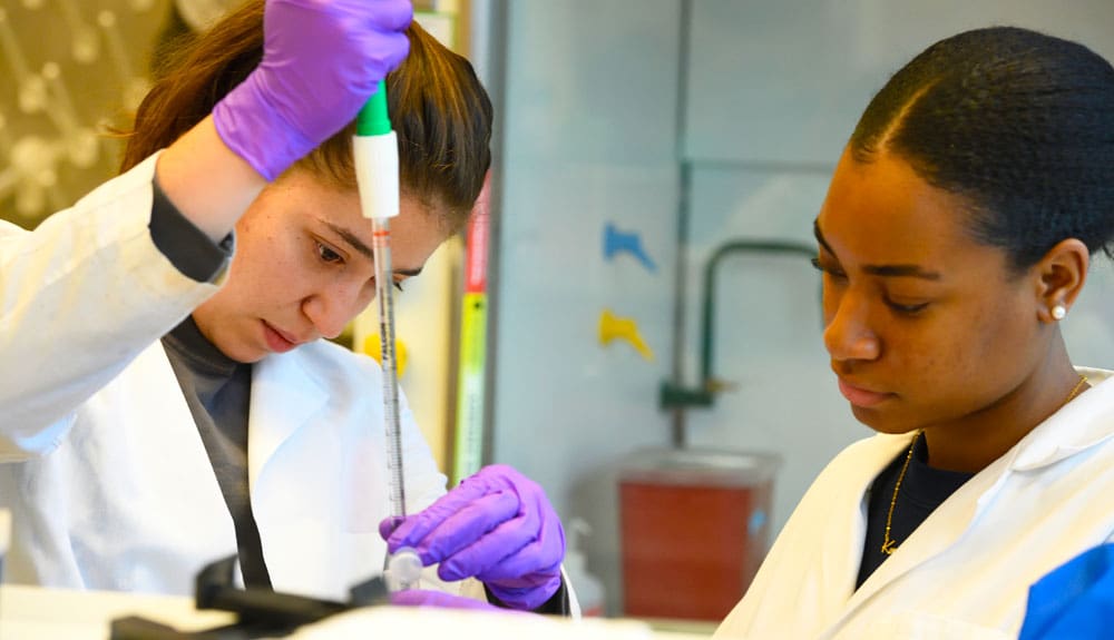 A student uses a pipette to transfer a solution into a container held by another student.