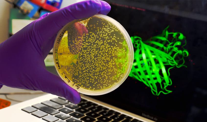 hand holding a petri dish in front of lap top screen