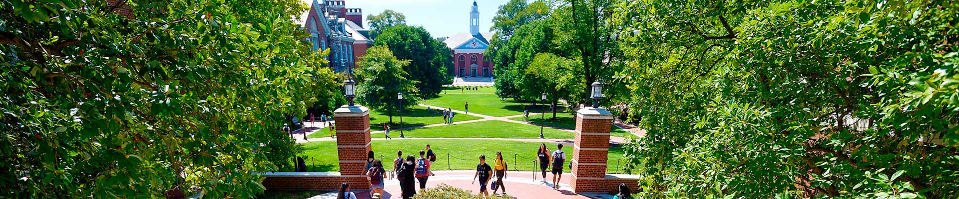 A view of students walking across the Wyman Lower Quad on the Homewood campus on a clear day, surrounded by lush green trees.