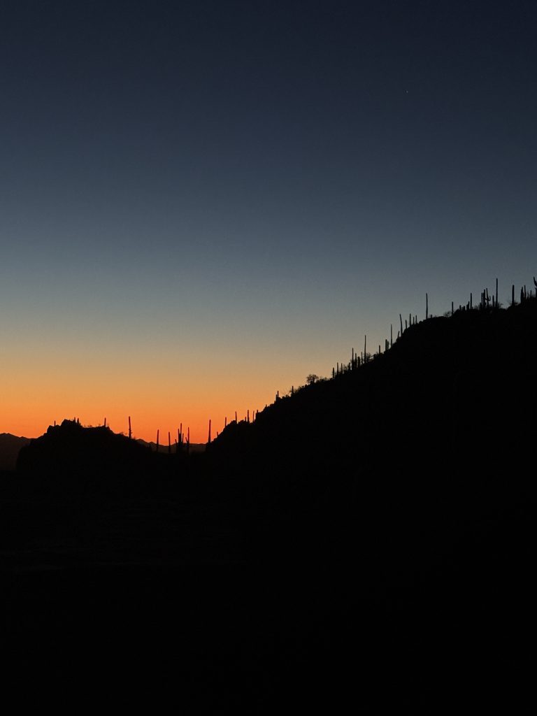 Mountain ridge line with cacti on top and sun setting behind