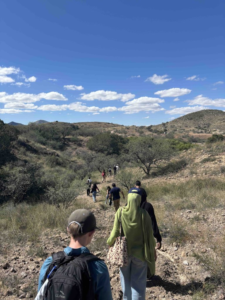 People walking in single file through desert scrub with bright blue sky above.