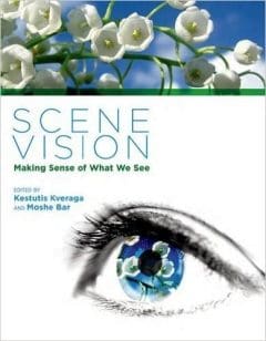Book Cover art for Scene Vision: Making Sense of What We See