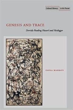 Book Cover art for Genesis and Trace: Derrida Reading Husserl and Heidegger