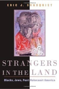 Book Cover art for Strangers in the Land: Blacks, Jews, Post-Holocaust America