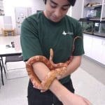 Sebastian with snake