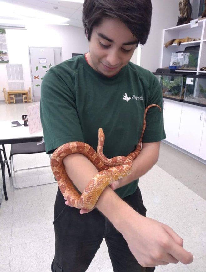 Sebastian with a snake on his forearm
