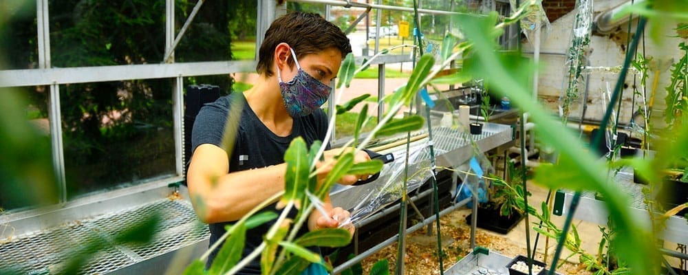 Postdoctoral Fellow Ava Hoffman of the Meghan Avolio lab in the Earth and Planetary Sciences department collects seeds from plants in the Greenhouse as her lab studies how weeds reatc to an urban environment.