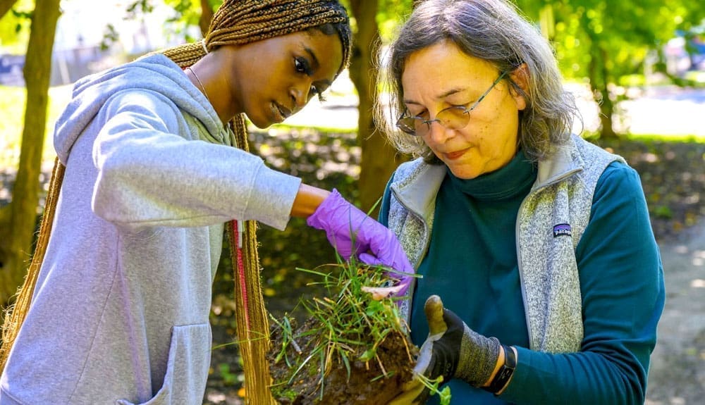 Professor Katalin Szlavecz and with student examining soil near Olin Hall, searching for organisms such as worms and isopods.