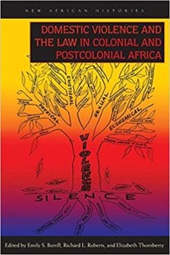 Book Cover art for Domestic Violence and the Law in Colonial and Postcolonial Africa