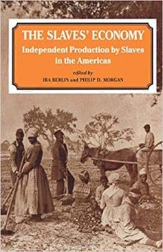 Book Cover art for The Slaves’ Economy: Independent Production by Slaves in the Americas