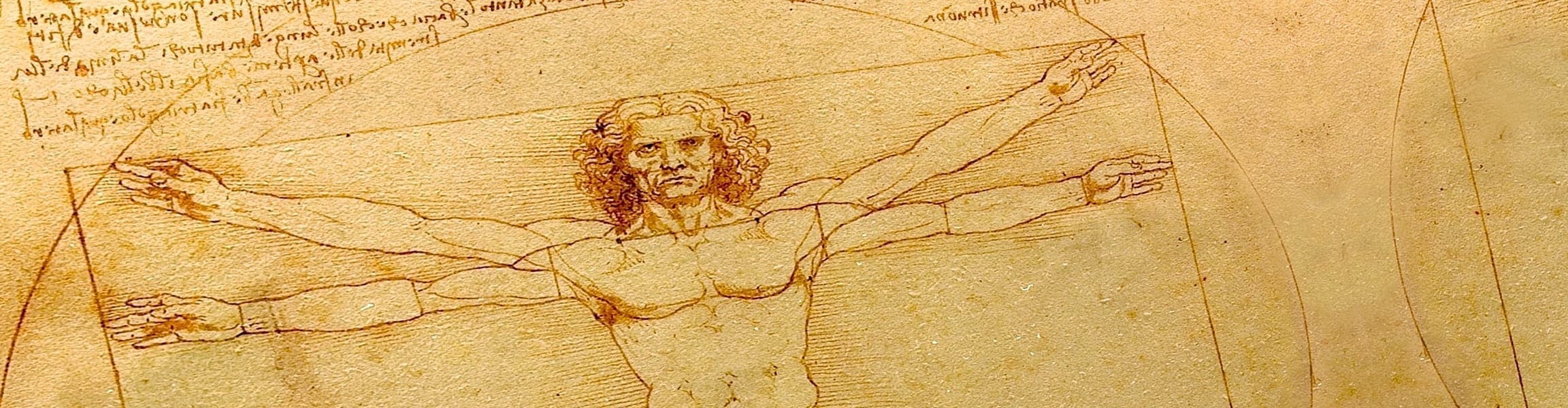 image of Leonardo DaVinci's Vitruvian man drawing