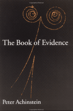 Book Cover art for The Book of Evidence