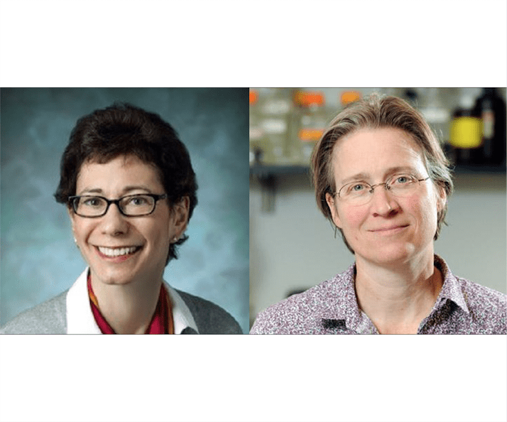 Rachel Green and Cynthia Wolberger elected to American Academy of Arts and Sciences!