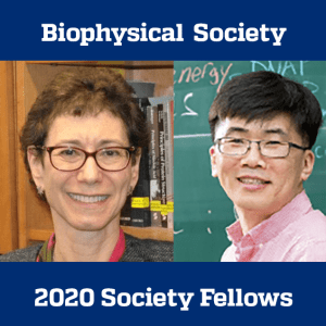Biophysical Society Announces Taekjip Ha and Cynthia Wolberger as 2020 Society Fellows