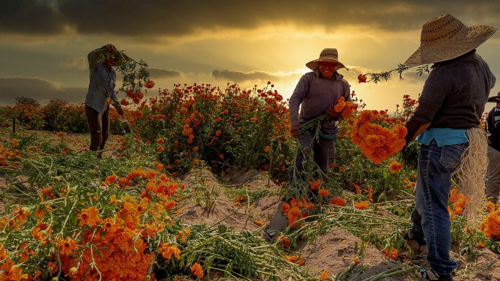 Informal Law, and Intra-Class Discipline in Migrant Labor Control Image