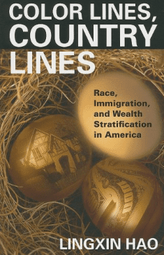 Book Cover art for Color Lines, Country Lines: Race, Immigration, and Wealth Stratification in America