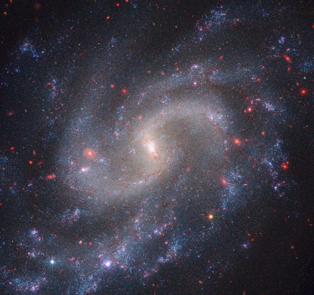 Telescope image of a spiral galaxy.