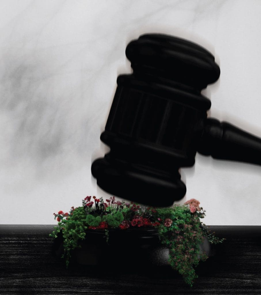 A judge's gavel, smashing flowers.