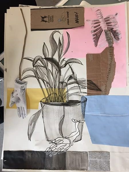 collage with drawn plant