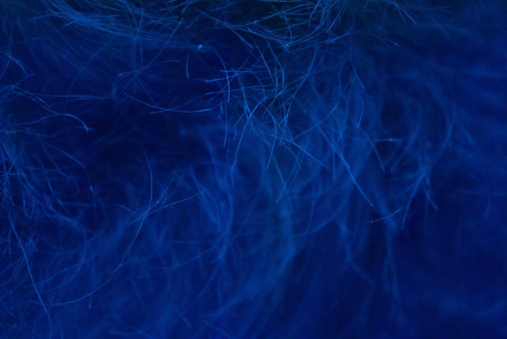 hair strands in a blue field