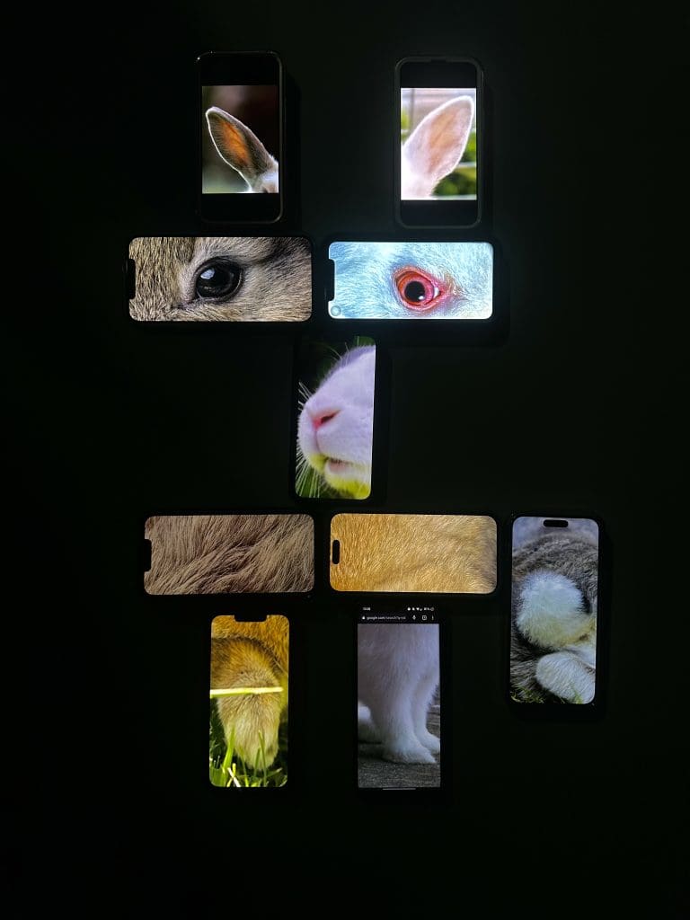 multiple phones featuring different parts of a bunny put together to make a whole image of a bunny with a black background