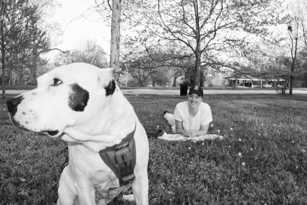 a dog in the foreground and girl sitting in a field in the background