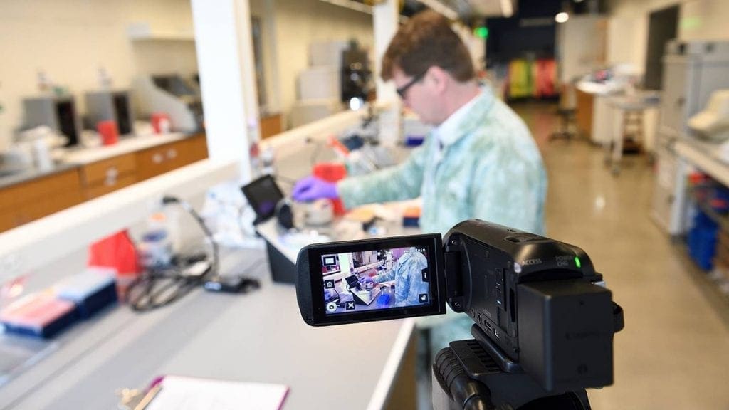 Professors Innovate to Teach Online