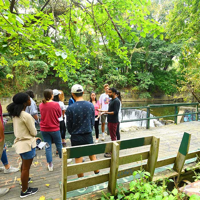 A professor and students stand near the water at Stony Run, a wooded stream valley and popular hiking and biking trail near the Homewood campus.