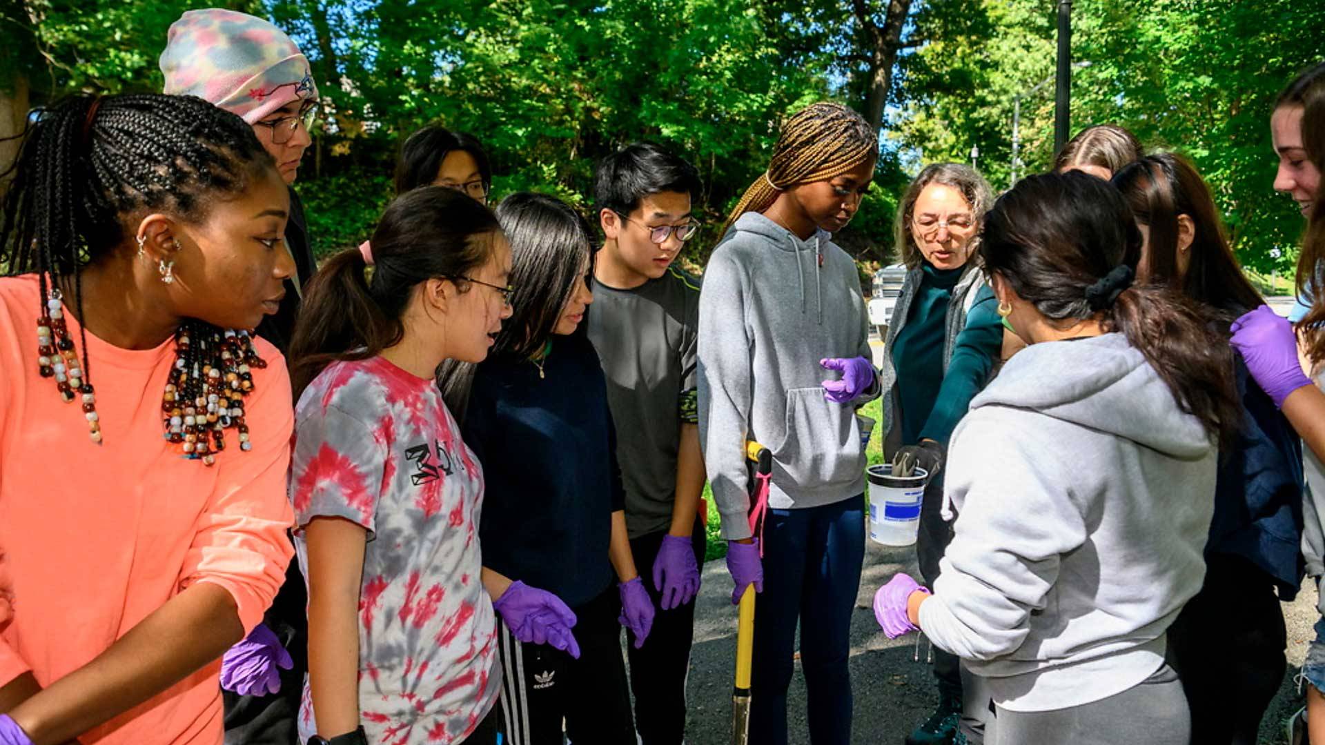 group of students wearing purple nitrile gloves stand outside around a small bucket of dirt