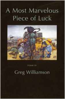 Book Cover art for A Most Marvelous Piece of Luck