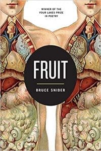 Book Cover art for Fruit